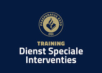 Training DSI