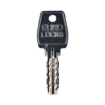 Eurolocks Master key L&amp;F